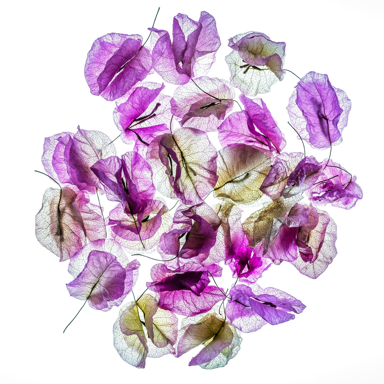 One Last Dance – No. 1