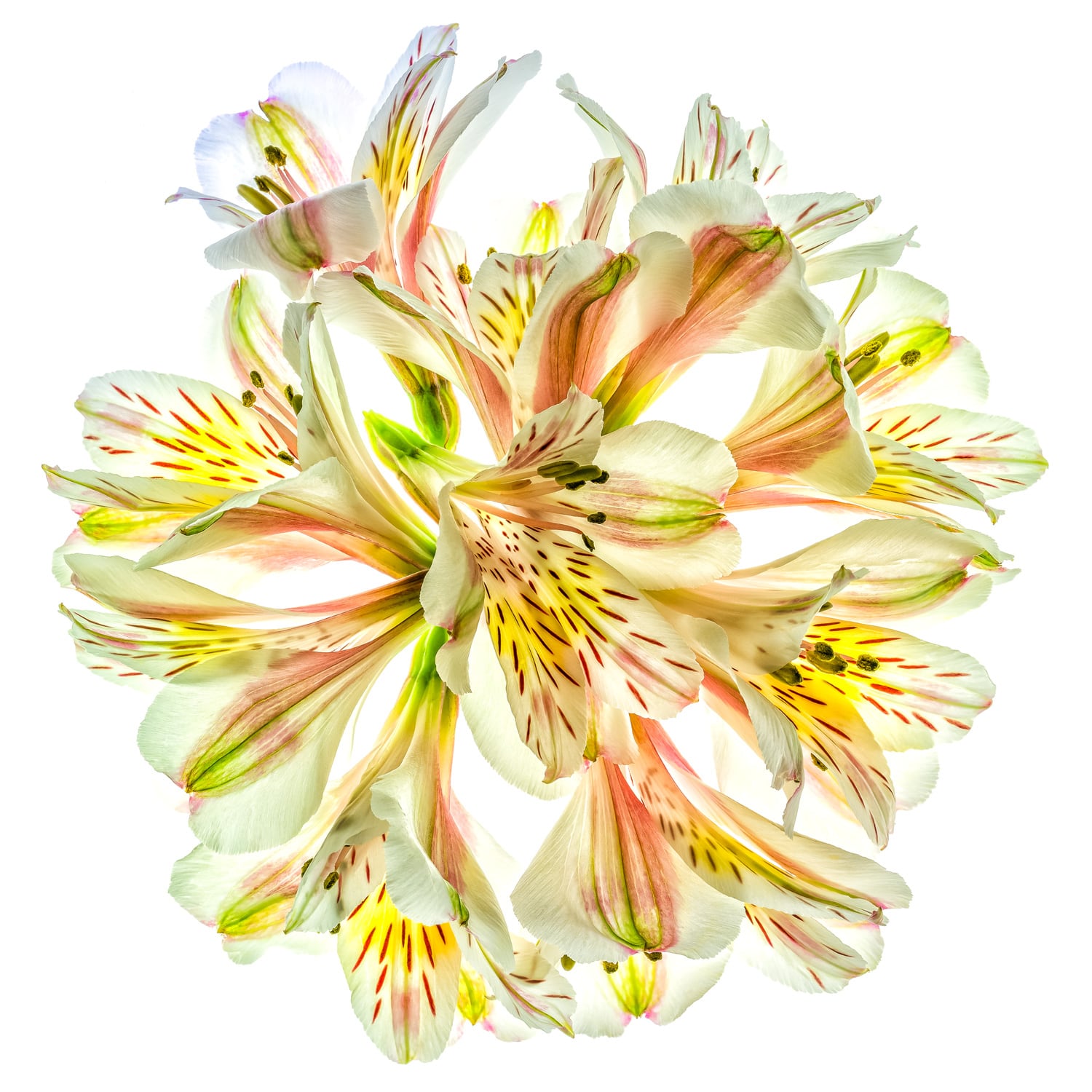 One Last Dance – No. 2